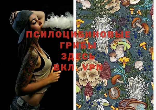 мдпв Балабаново