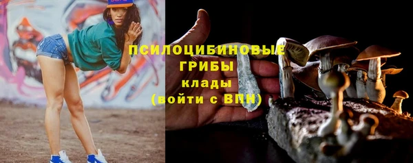 мдпв Балабаново