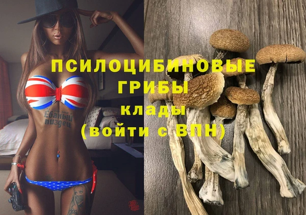 мдпв Балабаново