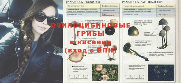 альфа пвп VHQ Баксан