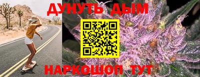 сатива Балаково