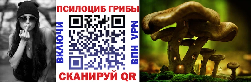 Псилоцибиновые грибы GOLDEN TEACHER  Беслан 