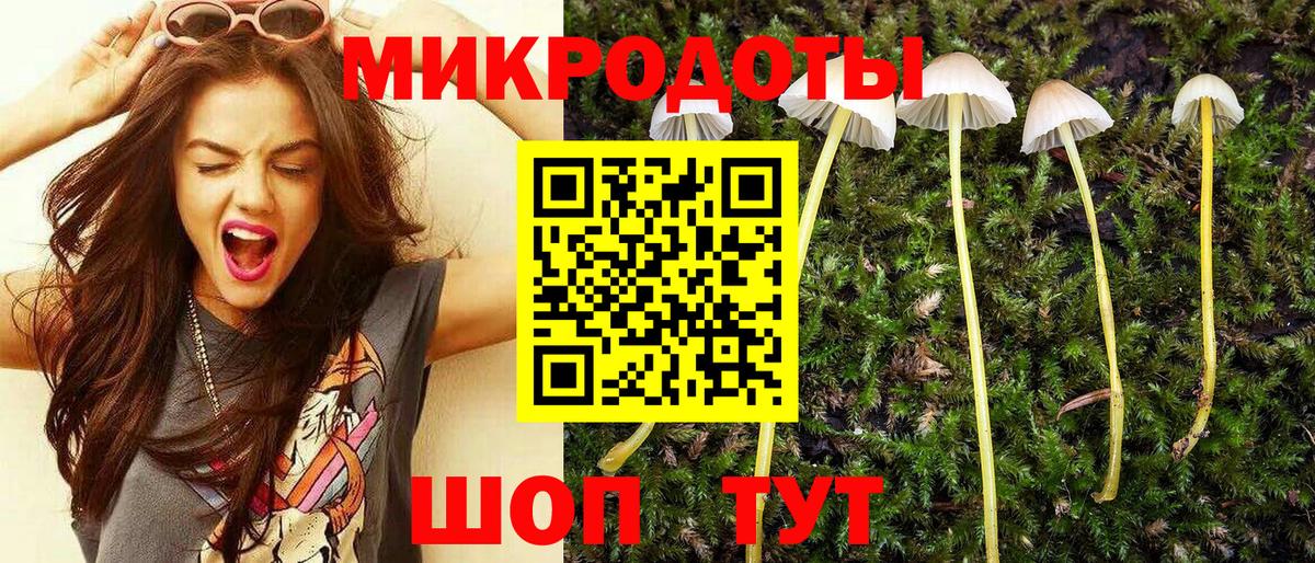 Псилоцибиновые грибы MAGIC MUSHROOMS  Псилоцибиновые грибы GOLDEN TEACHER  Беслан  Вход с VPN 