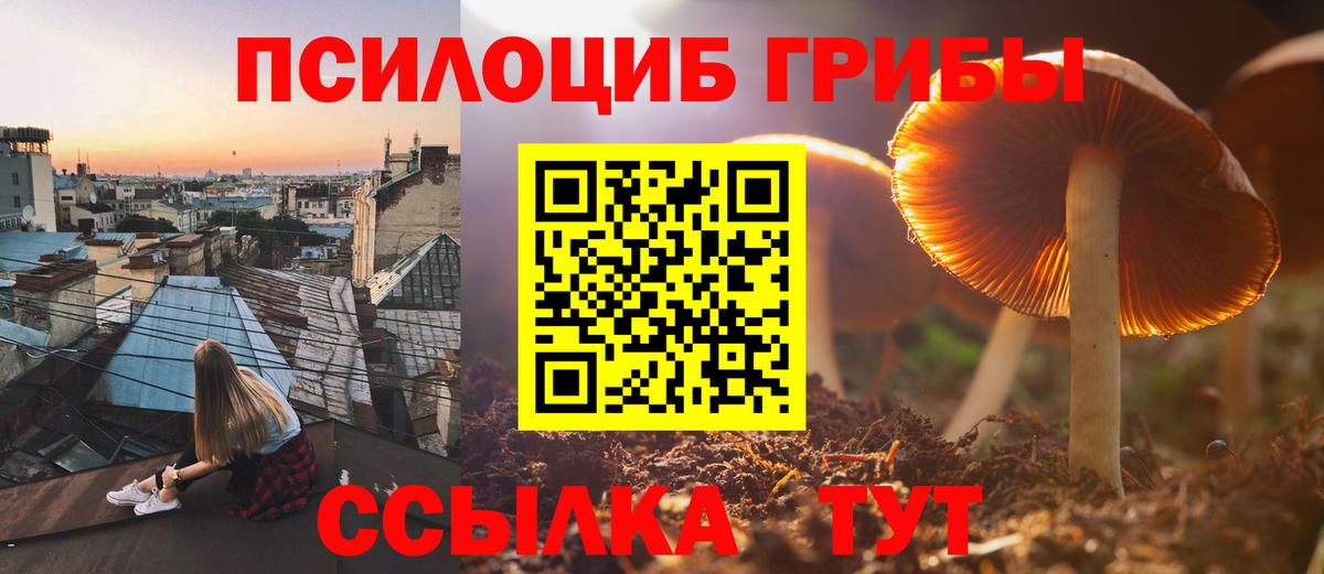 Галлюциногенные грибы мухоморы Беслан